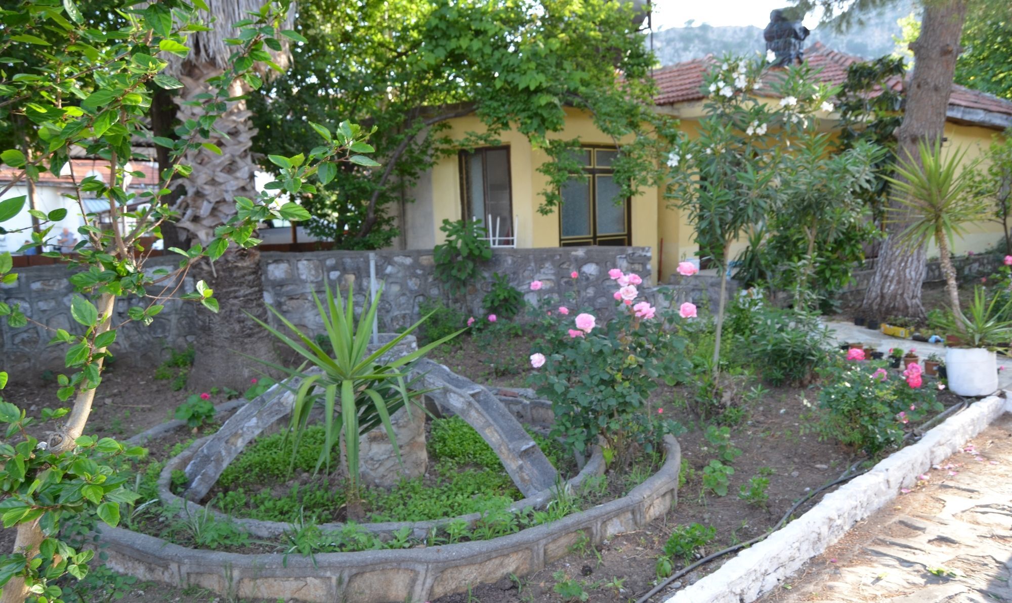 Dalyan Patio Hotel Buitenkant foto