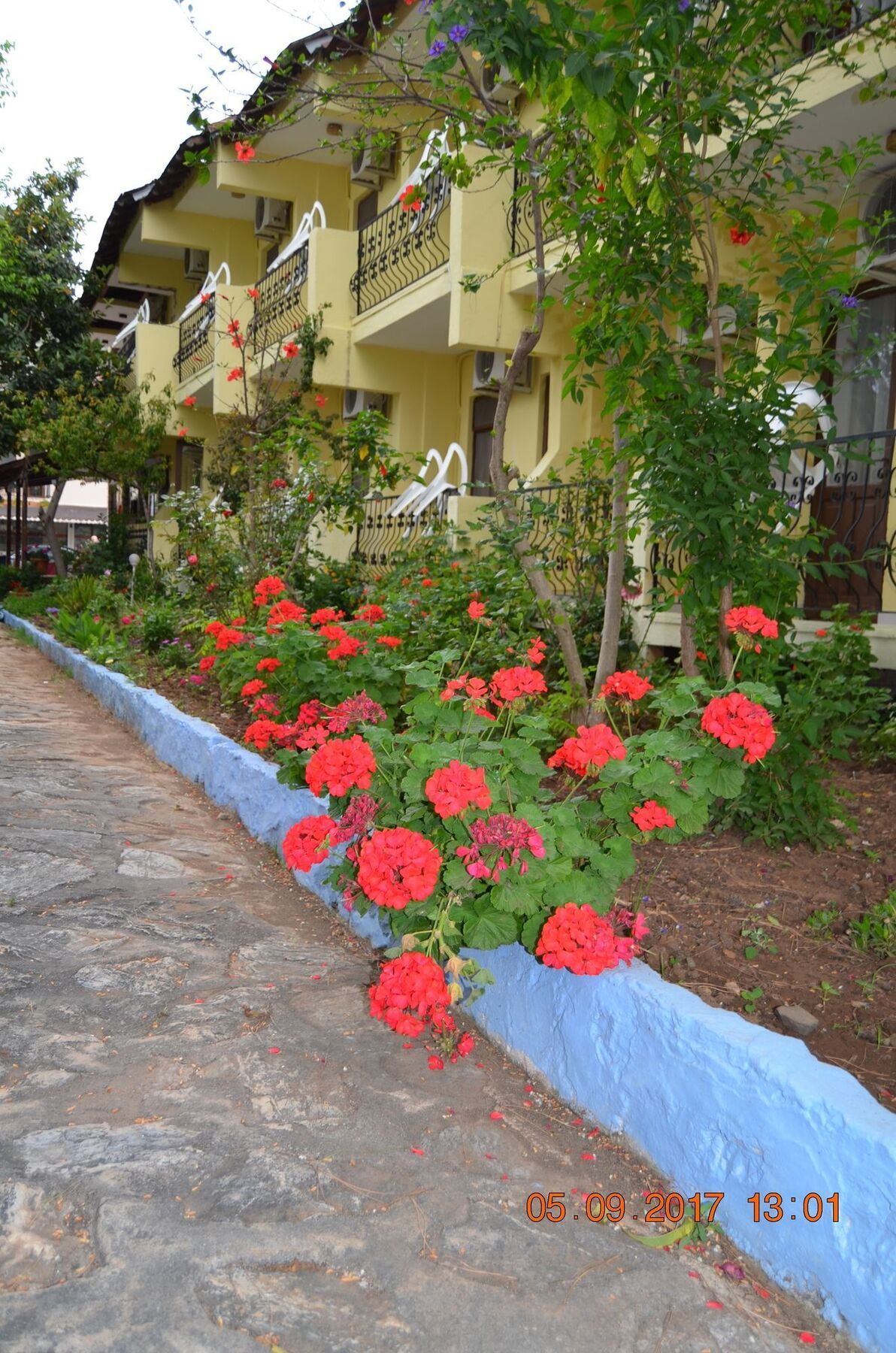 Dalyan Patio Hotel Buitenkant foto