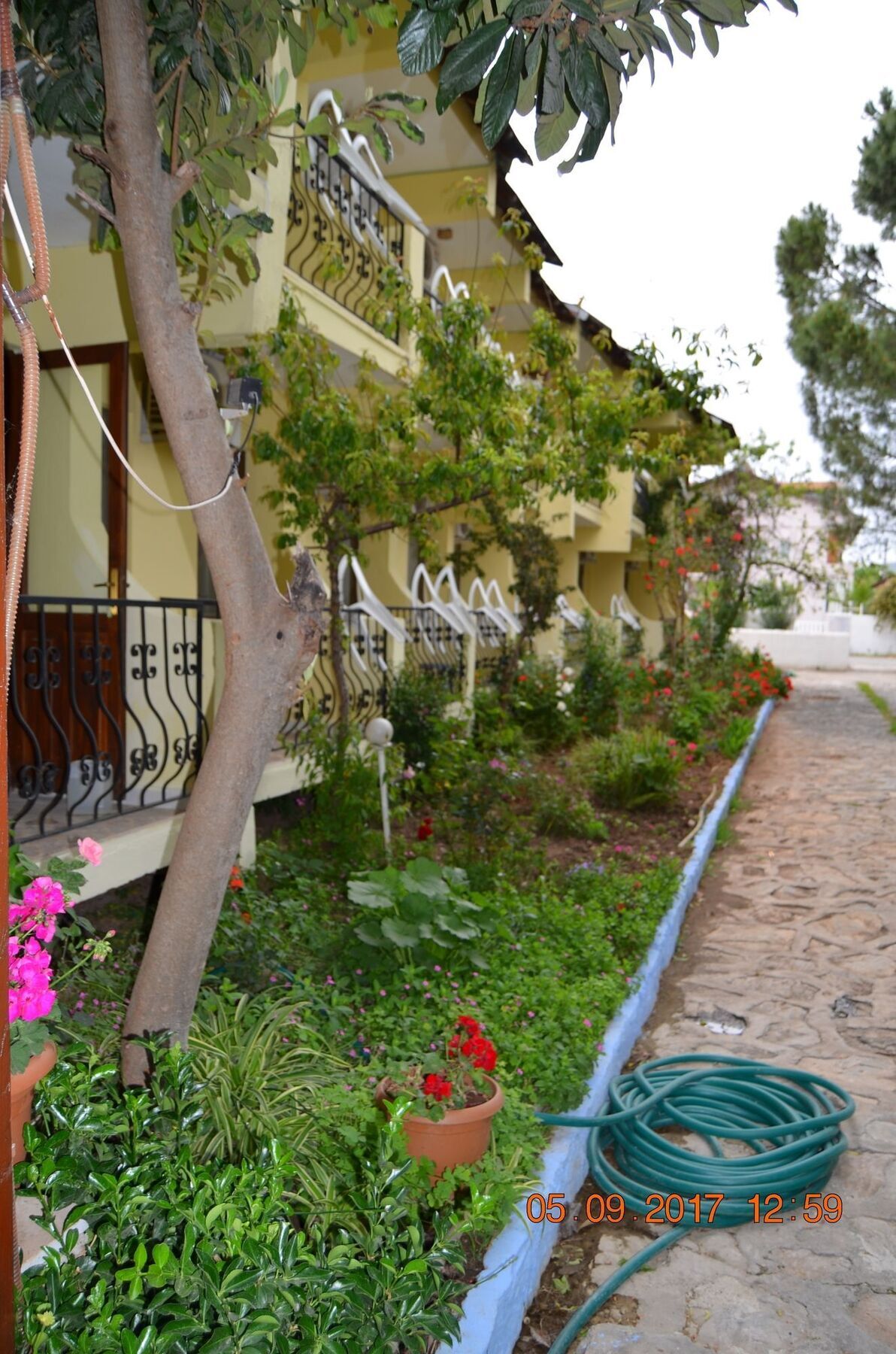 Dalyan Patio Hotel Buitenkant foto